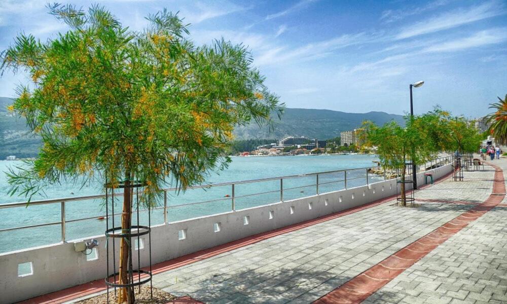 Villa Montanja Herceg Novi Exteriör bild